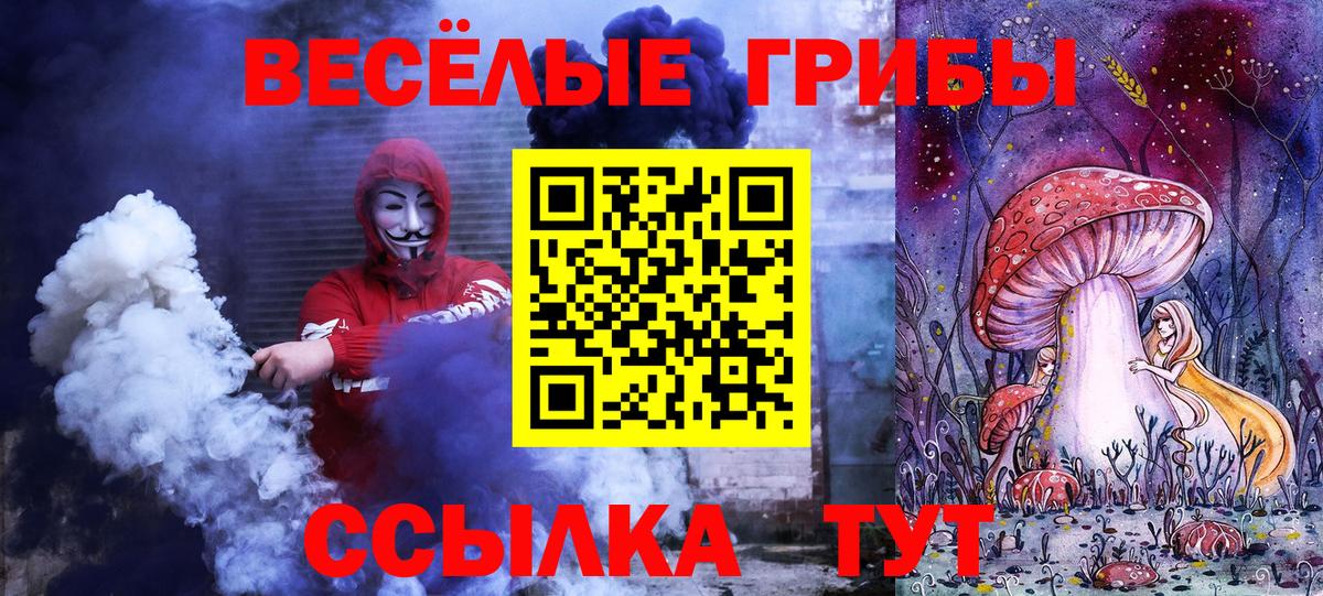 Галлюциногенные грибы Psilocybe Санкт-Петербург