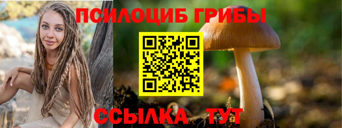 Санкт-Петербург  Псилоцибиновые грибы Psilocybe  Галлюциногенные грибы ЛСД  Вход с VPN 